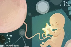 同志供卵代孕网